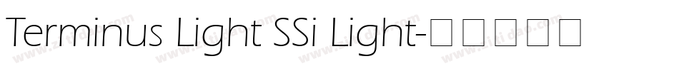 Terminus Light SSi Light字体转换
